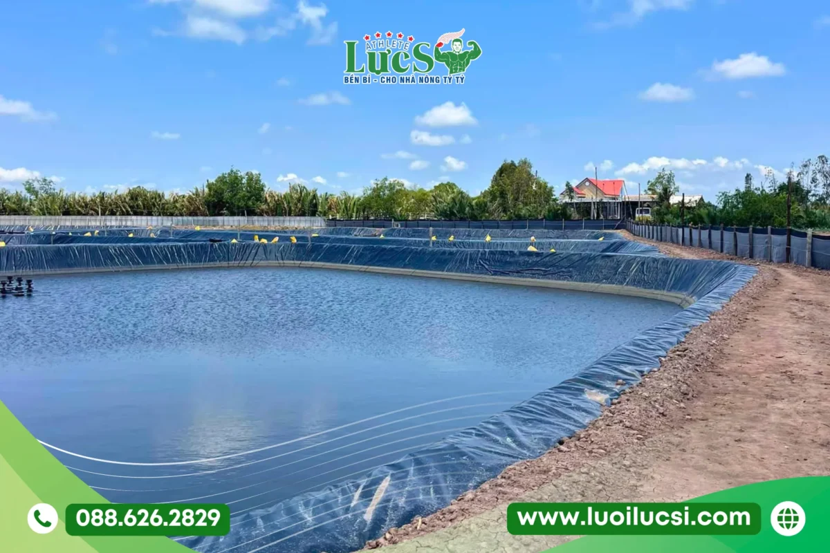 Nguyên Nhân Khiến Nước Hồ Chứa Nước Lót Bạt Nhanh Bẩn, Lên Rêu