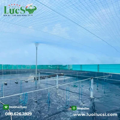 Cách Khắc Phục Hiện Tượng Bạt HDPE Bị Phồng Rộp, Nổi Bọt Khí Trong Ao Nuôi Tôm